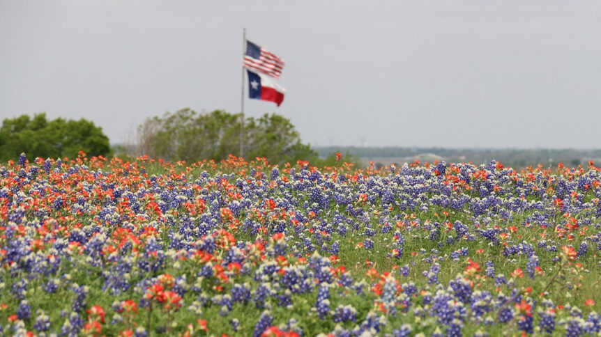 Bluebonnet and Flower Field with Texas & US Flag